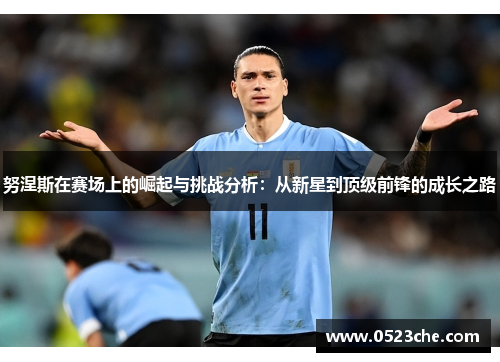 努涅斯在赛场上的崛起与挑战分析：从新星到顶级前锋的成长之路