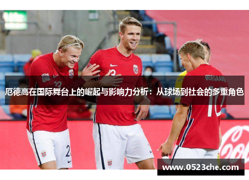 厄德高在国际舞台上的崛起与影响力分析：从球场到社会的多重角色
