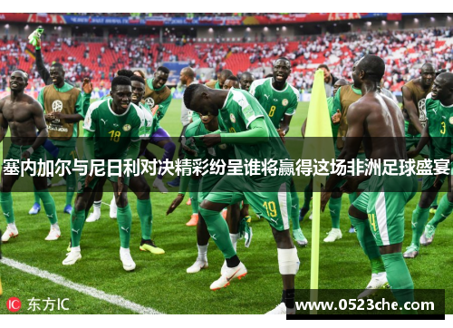 塞内加尔与尼日利对决精彩纷呈谁将赢得这场非洲足球盛宴