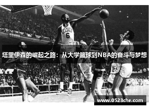 塔里伊森的崛起之路：从大学篮球到NBA的奋斗与梦想