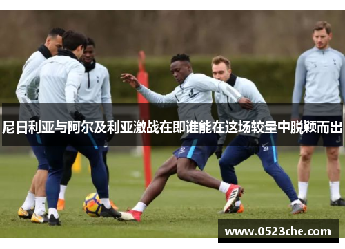 尼日利亚与阿尔及利亚激战在即谁能在这场较量中脱颖而出