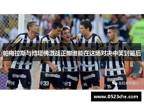 帕梅拉斯与博塔佛激战正酣谁能在这场对决中笑到最后