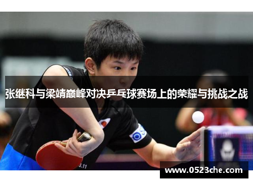 张继科与梁靖巅峰对决乒乓球赛场上的荣耀与挑战之战
