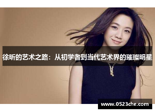 徐昕的艺术之路：从初学者到当代艺术界的璀璨明星