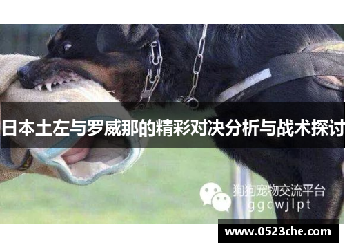 日本土左与罗威那的精彩对决分析与战术探讨