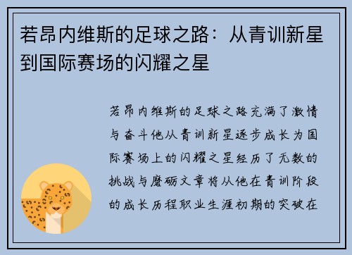 若昂内维斯的足球之路：从青训新星到国际赛场的闪耀之星